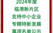 2024年度临港新片区支持中小企业专精特新发展事项名单公示哔哩哔哩bilibili