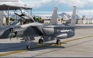 Video herunterladen: 【Metal2Mesh】DCS F-15E雷达机体细节展示