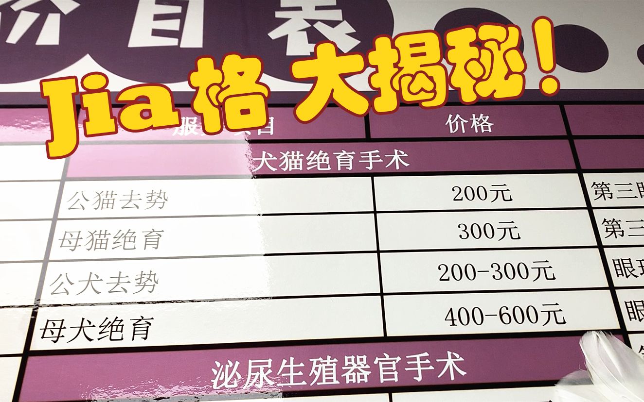 都说宠物医院价格黑,今天去一探究竟,和你了解的一样吗!哔哩哔哩bilibili