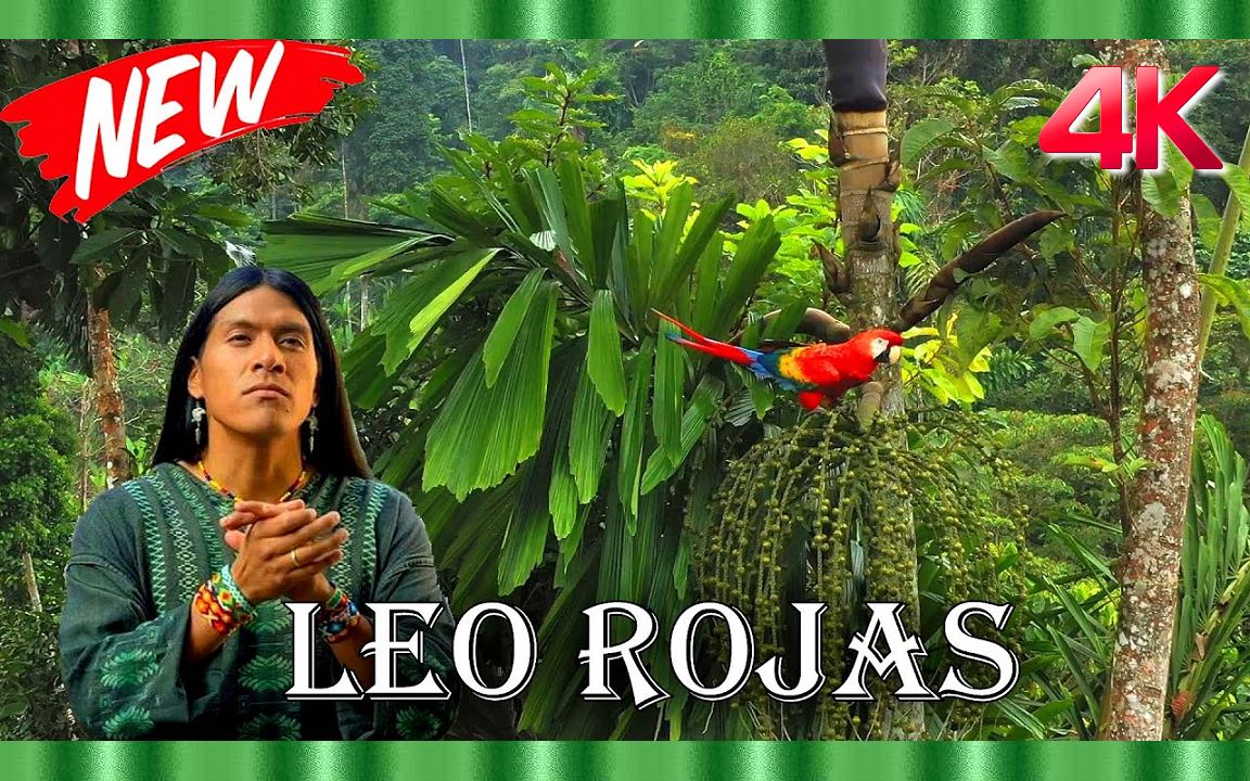 [图]最好的排箫音乐?厄瓜多尔排箫演奏家：利奥·罗哈斯 (Leo Rojas) & Raimy Salzar〃4K ᵁᴴᴰ