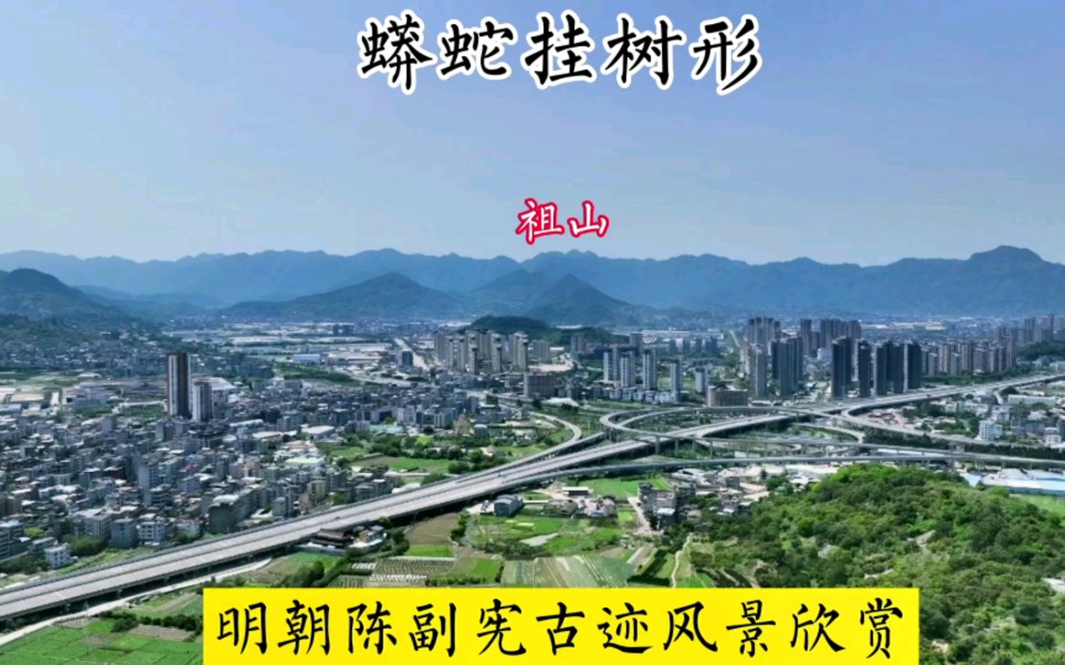 蟒蛇挂树:明朝陈副宪祖地古迹风景欣赏.哔哩哔哩bilibili