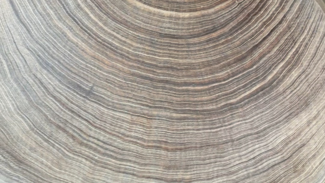 蚬木菜板实木原木原木色 无漆无蜡无染色的