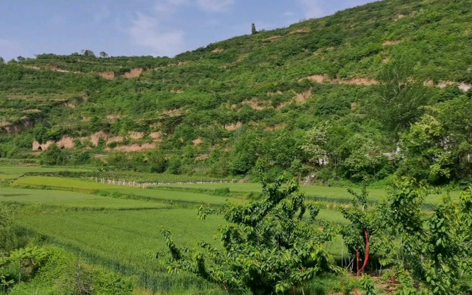 让我们一起领略磻溪镇景家崖村山青水秀天蓝水清风景如画的初夏美景哔哩哔哩bilibili