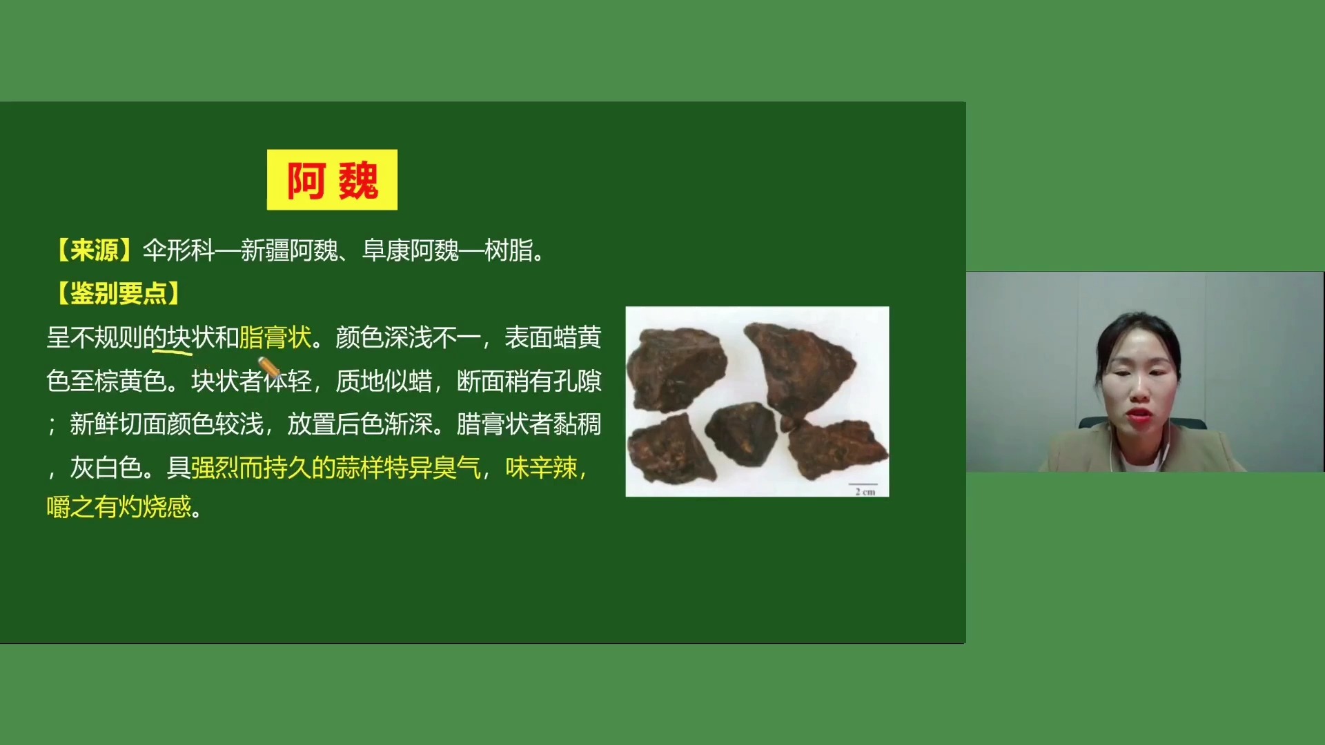 【系统精讲】第一节 常用植物类中药的鉴别(十三)