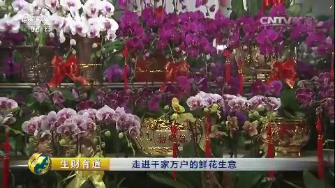 [图]《生财有道》20170209走进千家万户的鲜花生意