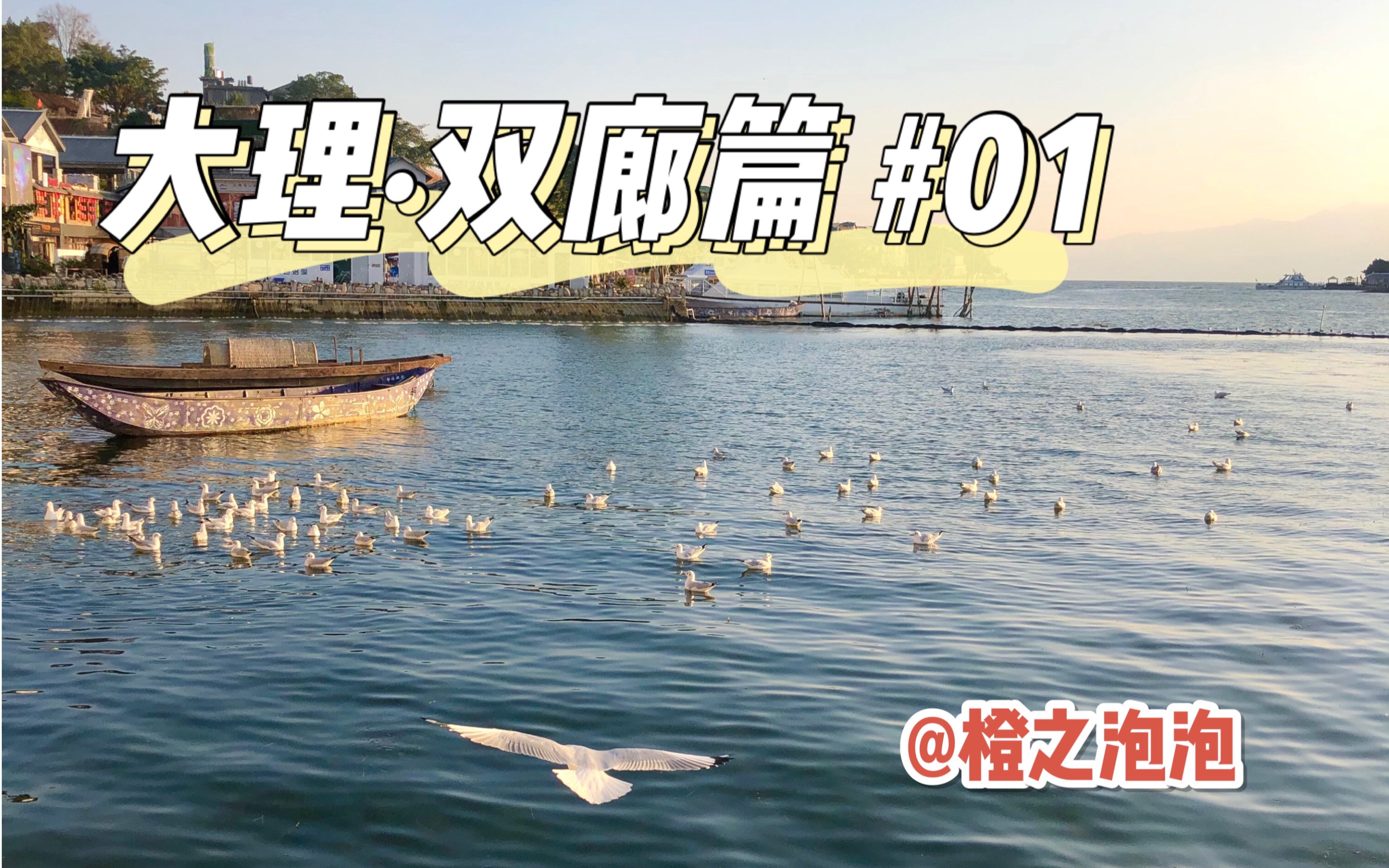 大理ⷥŒ廊篇#01|冬日里也好阳光的洱海边 一起看海鸥吧哔哩哔哩bilibili