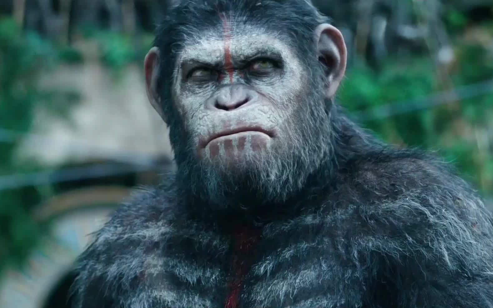 活动  凯撒遭背叛挑起与人类的战争