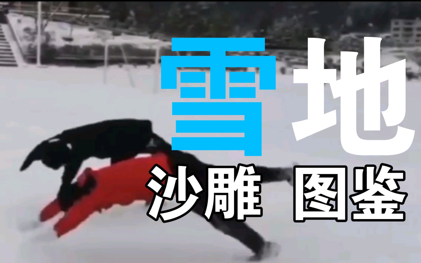 [图]雪 地 沙 雕 图 鉴丨全网最爆笑的雪天视频都在这了，你那里下雪了吗？超级解压