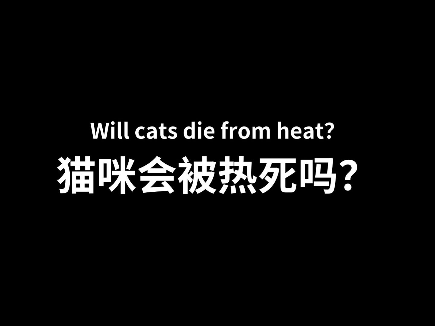 猫咪也怕热吗?天气太热它们会中暑吗?哔哩哔哩bilibili