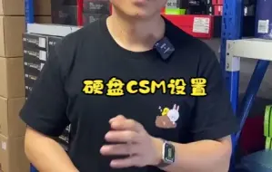 CSM设置教程