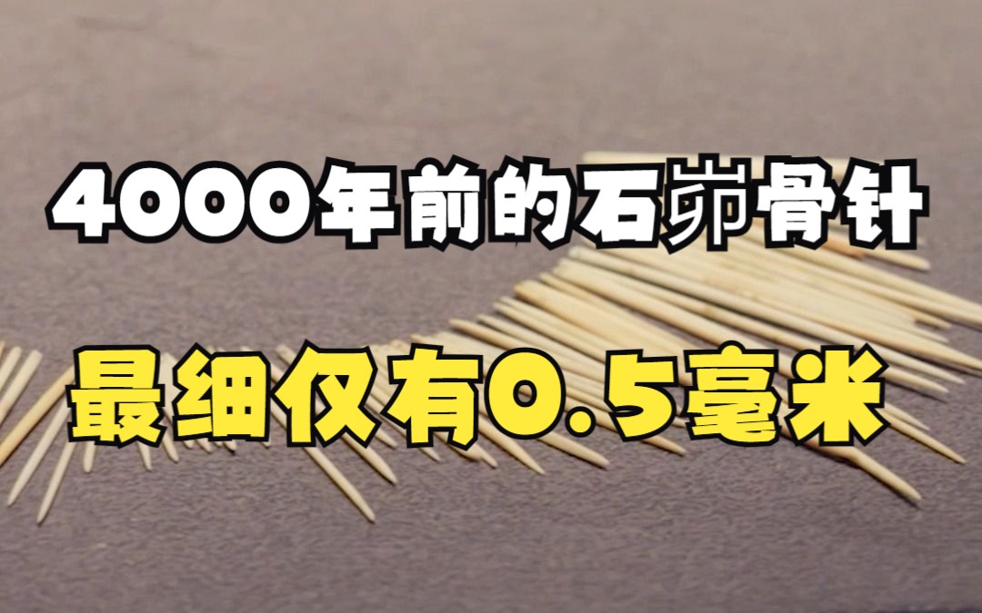 《中国ⷨ€ƒ古》第六集揭秘|4000年前的石峁骨针最细仅有0.5毫米哔哩哔哩bilibili