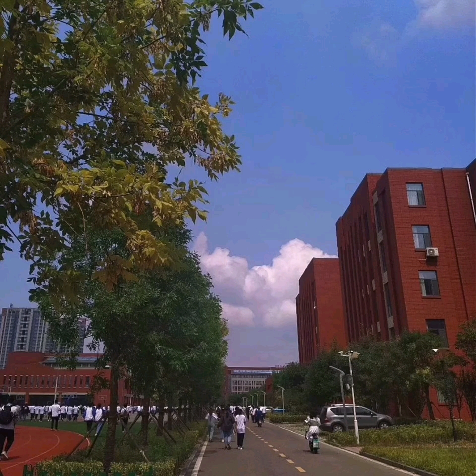 【安丘一中音乐社】《慢慢》翻唱