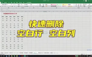 Download Video: Excel快速删除空白行