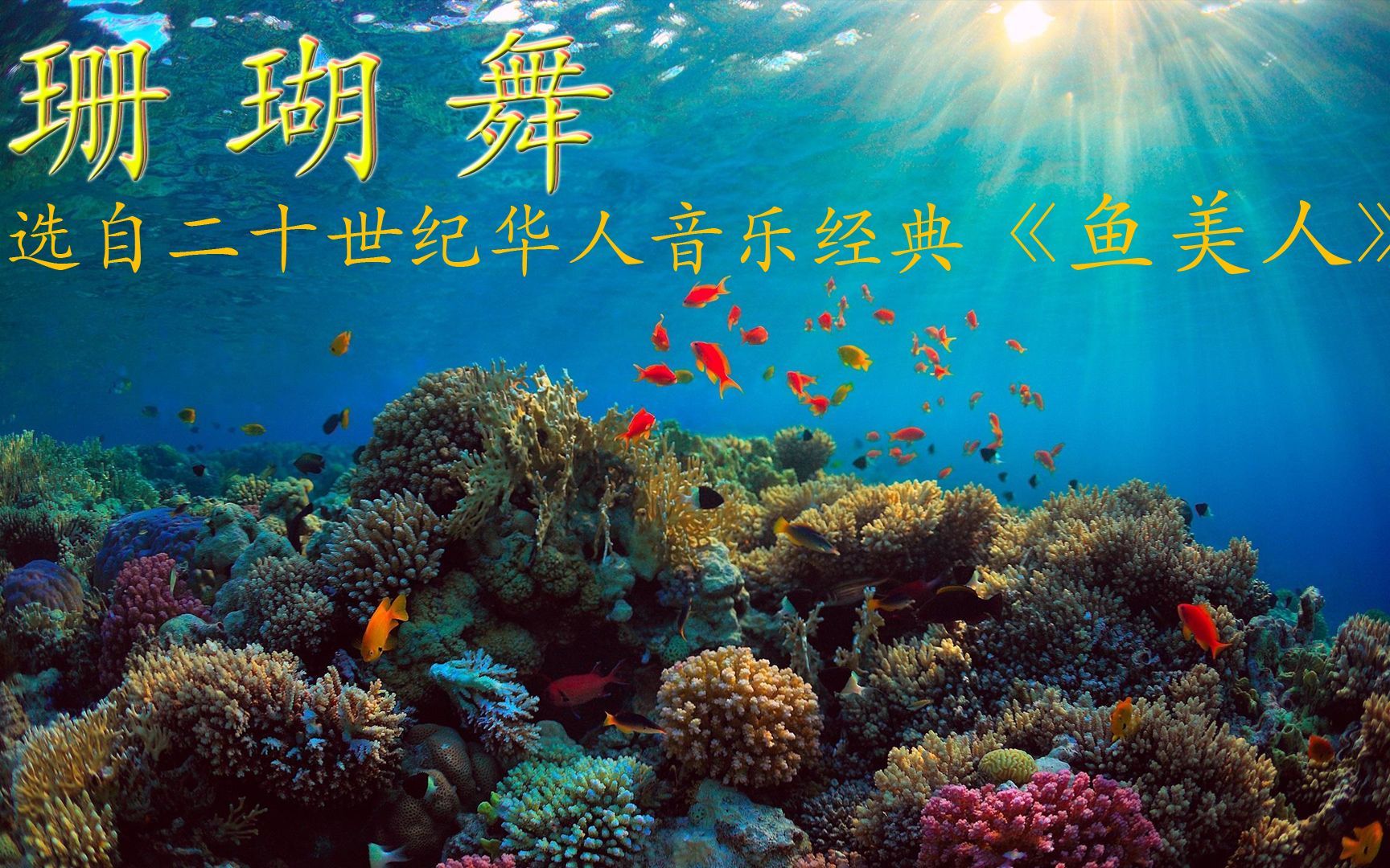 珊瑚舞用音乐打造奇幻的海底仙境选自二十世纪华人音乐经典鱼美人