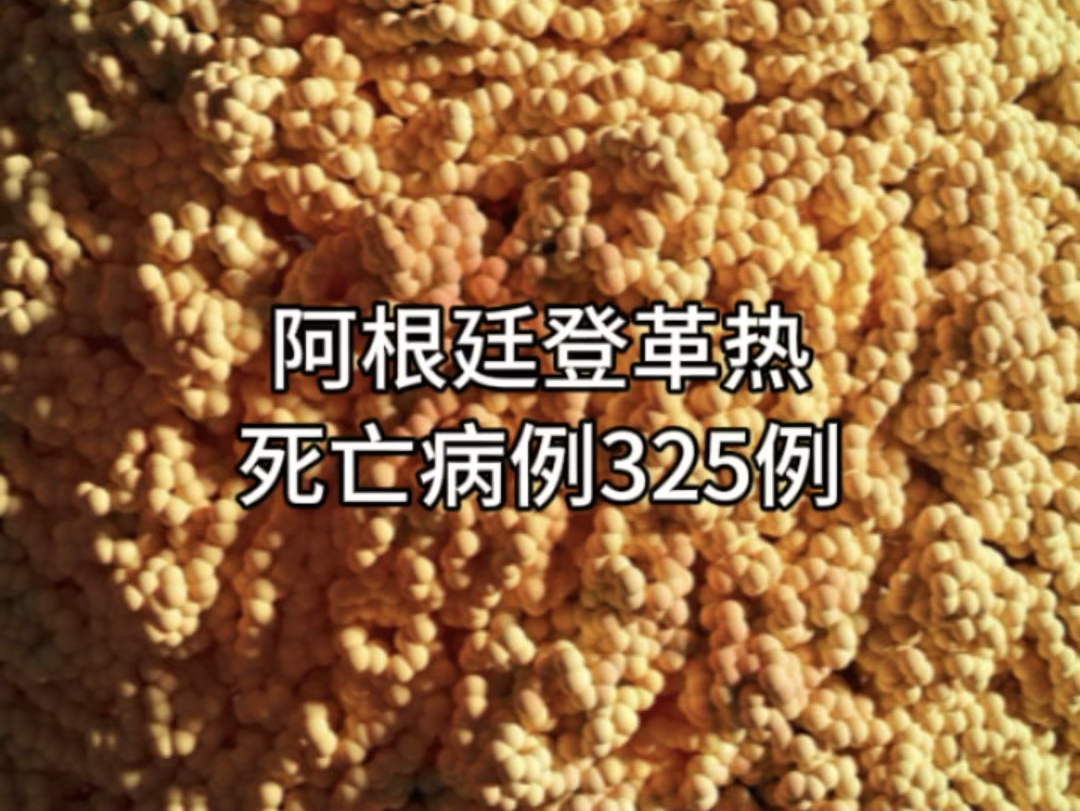 幕言#养生 #预防阿根廷登革热死亡病例325例