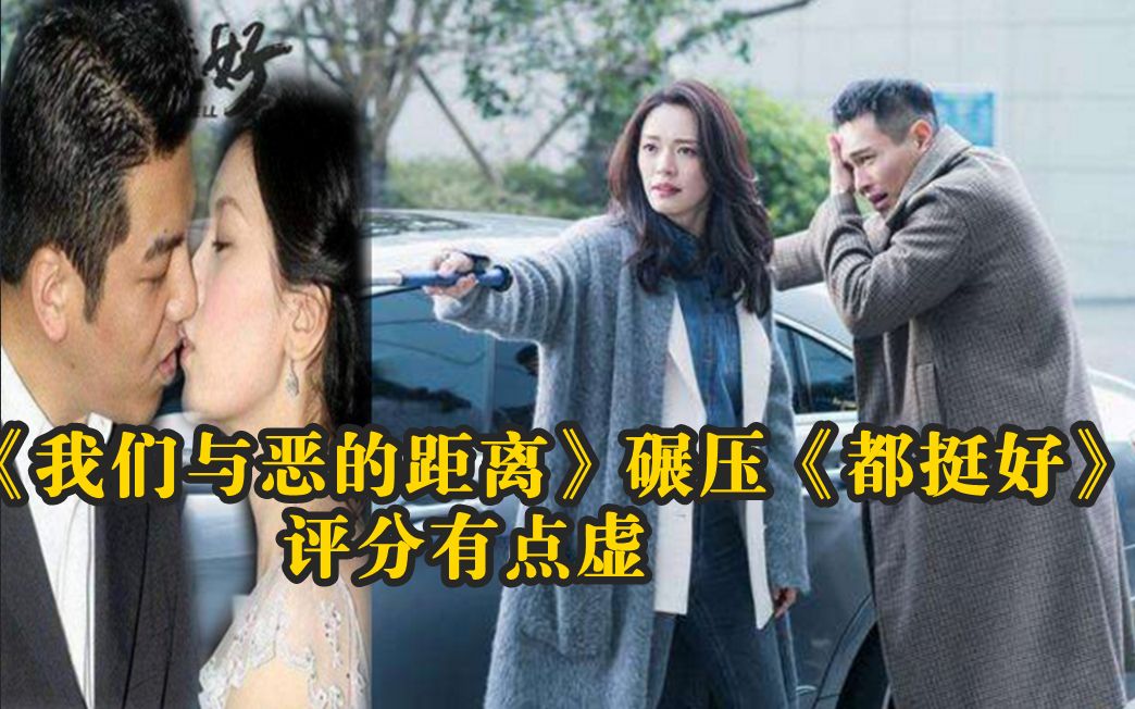 《我们与恶的距离》碾压《都挺好》口碑更是爆棚, 豆瓣评分高达9.4分! 有点虚了哔哩哔哩bilibili