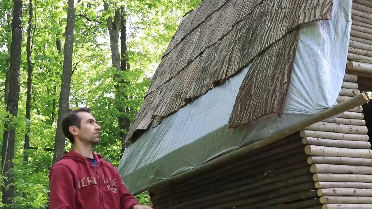 林中小屋解析，林中小屋完整的剧情叙述