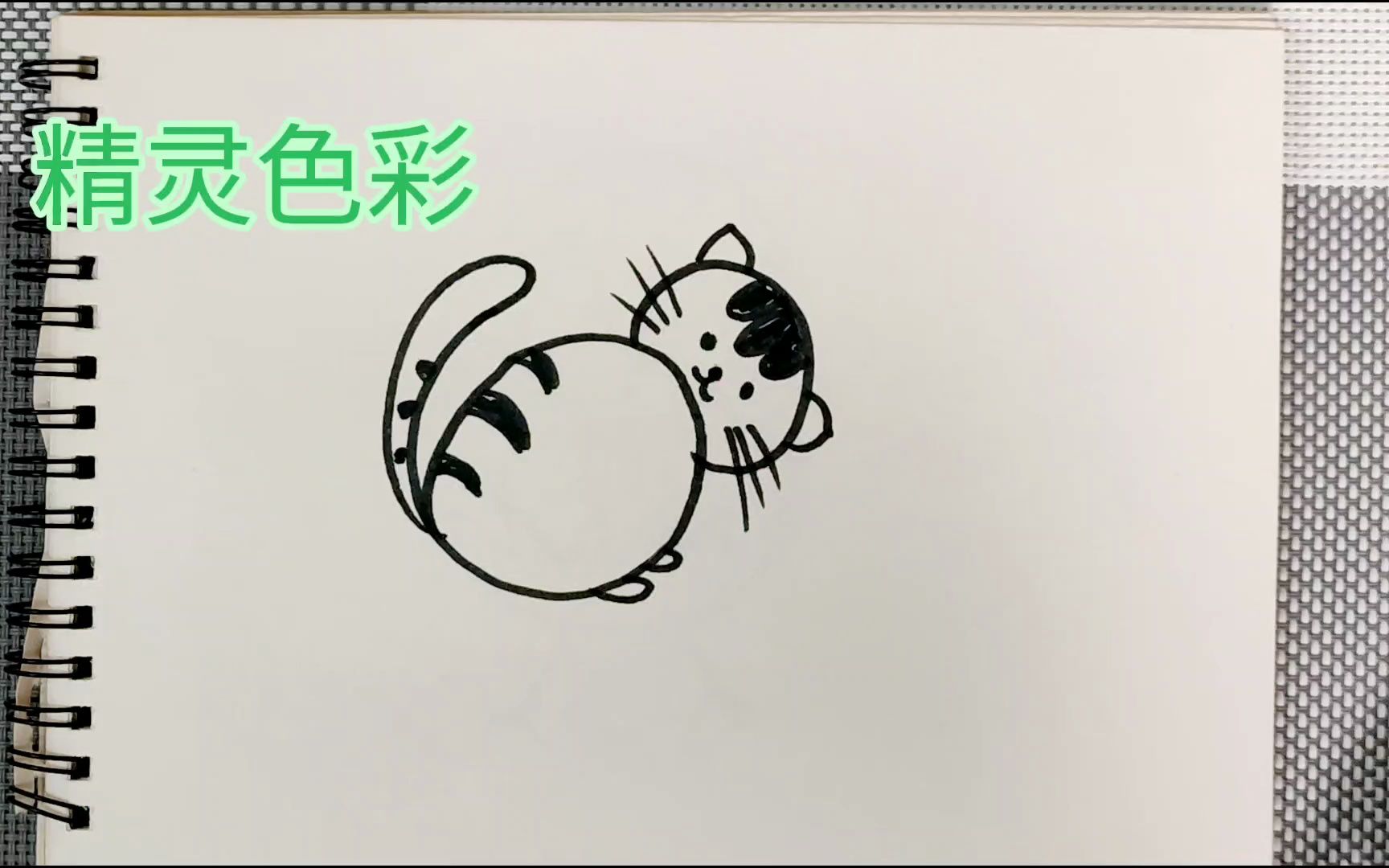 幼儿简笔画小花猫图片