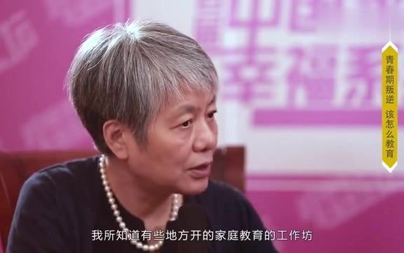 李玫瑾:青春期叛逆的孩子,父母该怎么教育他们呢?哔哩哔哩bilibili