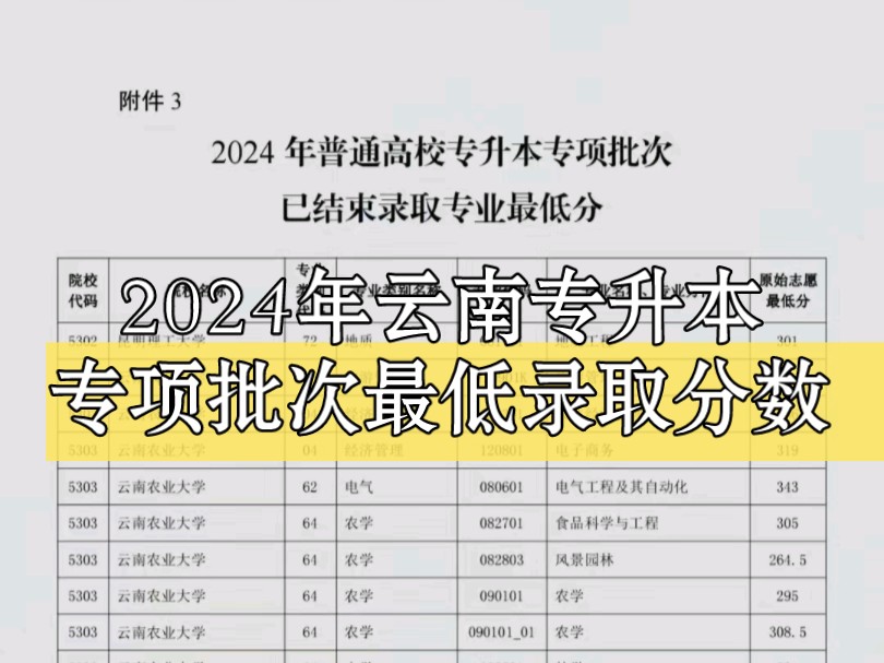 2024年云南专升本专项批次最低录取分数,普通批次静待佳音,我们终将上岸#专升本 #云南专升本 #录取分数线哔哩哔哩bilibili