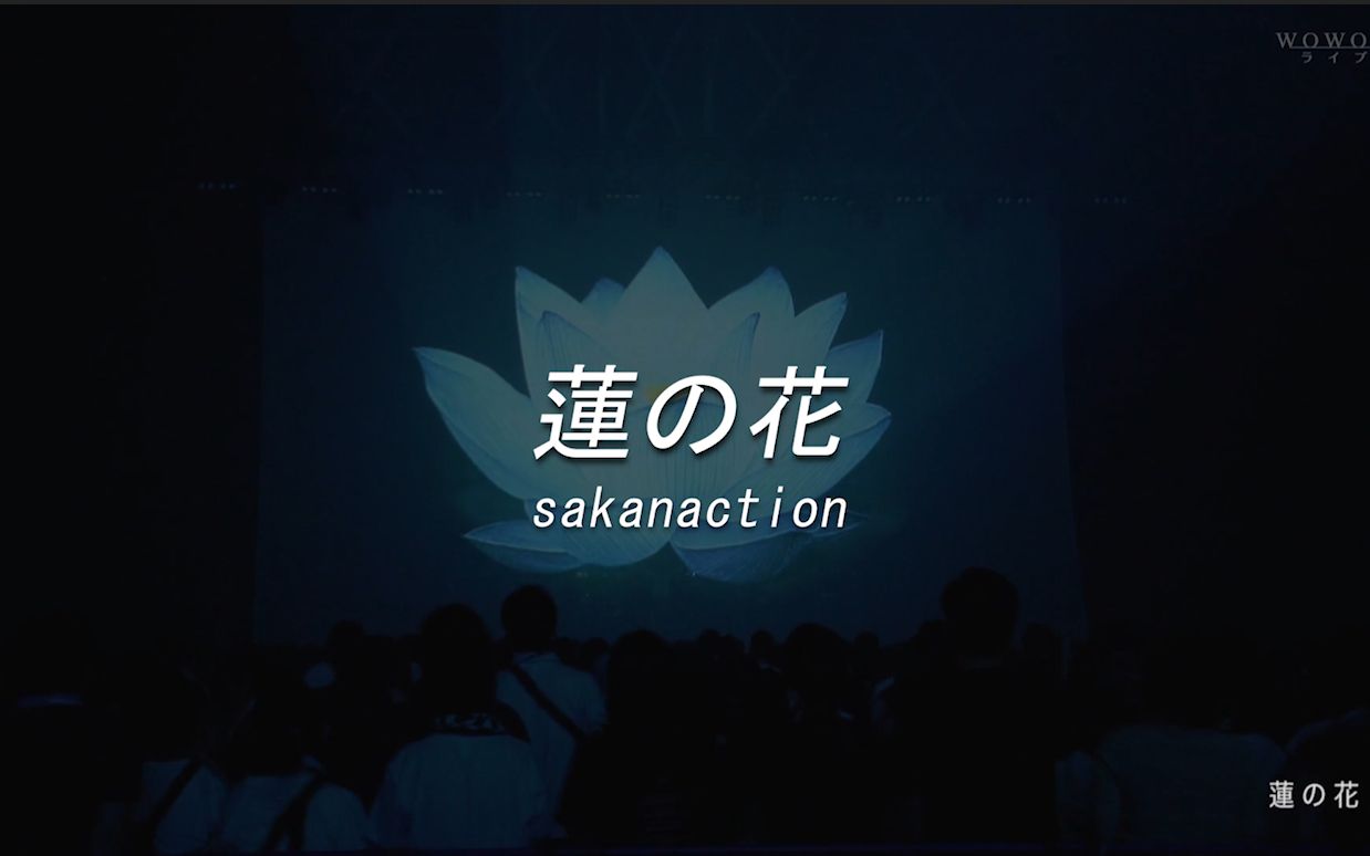 [图]【每周一推】鱼韵 莲の花 中字 SAKANAQUARIUM 2019