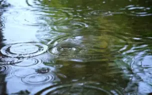 下载视频: （无版权素材） 雨点落在湖面上