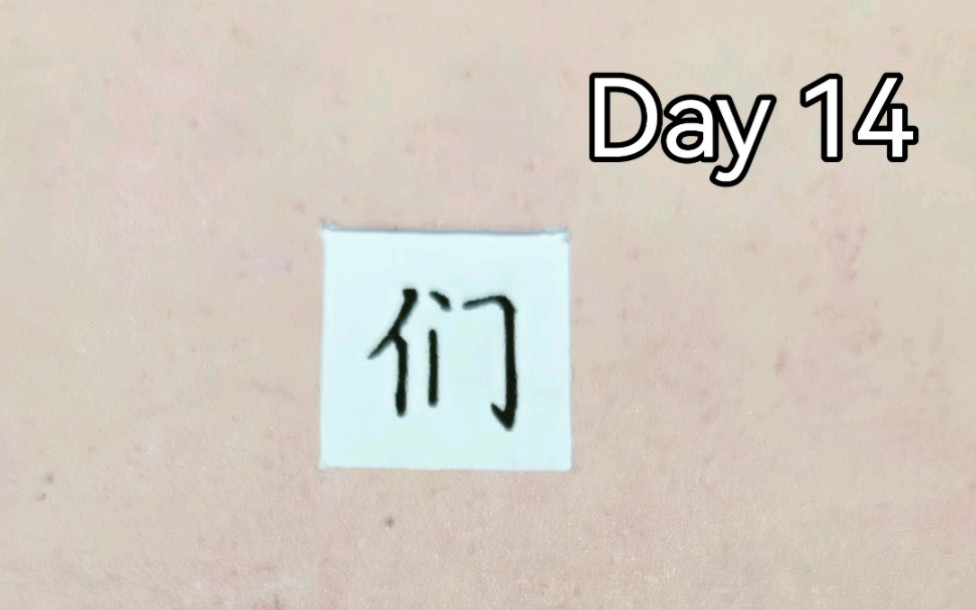 100个常用规范字百日打卡Day14:“们”字,#百日打卡#零基础学硬笔哔哩哔哩bilibili