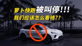 Télécharger la video: 萝卜快跑被叫停！！！我们应该怎么看待？？