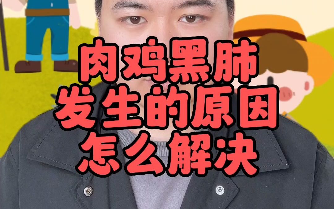 肉鸡黑肺是怎么引起的 鸡黑肺子是怎么回事 鸡肺部有黑点是怎么回事