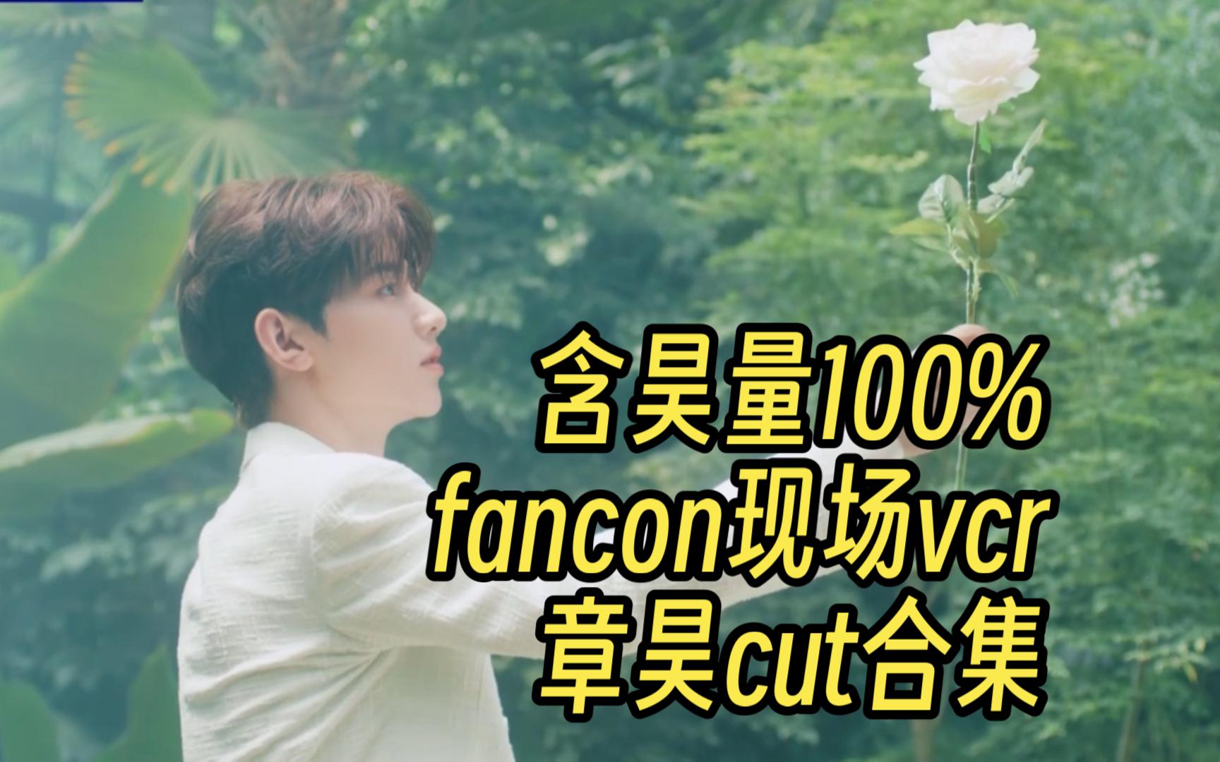 含昊量100%!! 章昊fancon vcr cut 纯享 谁家小男孩又美又帅啊 原来是我家的哔哩哔哩bilibili