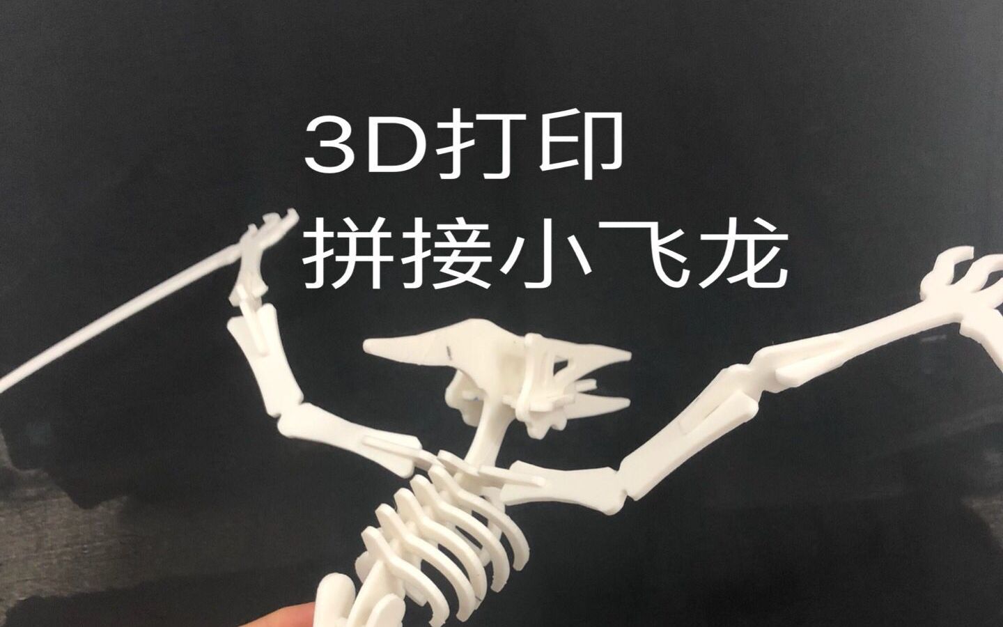 用3d打印骨架徒手拼接翼龙哔哩哔哩bilibili