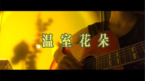 温室花朵 陈绮贞 哔哩哔哩