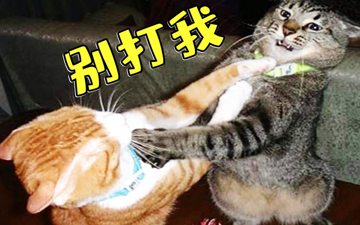 大哥别打我