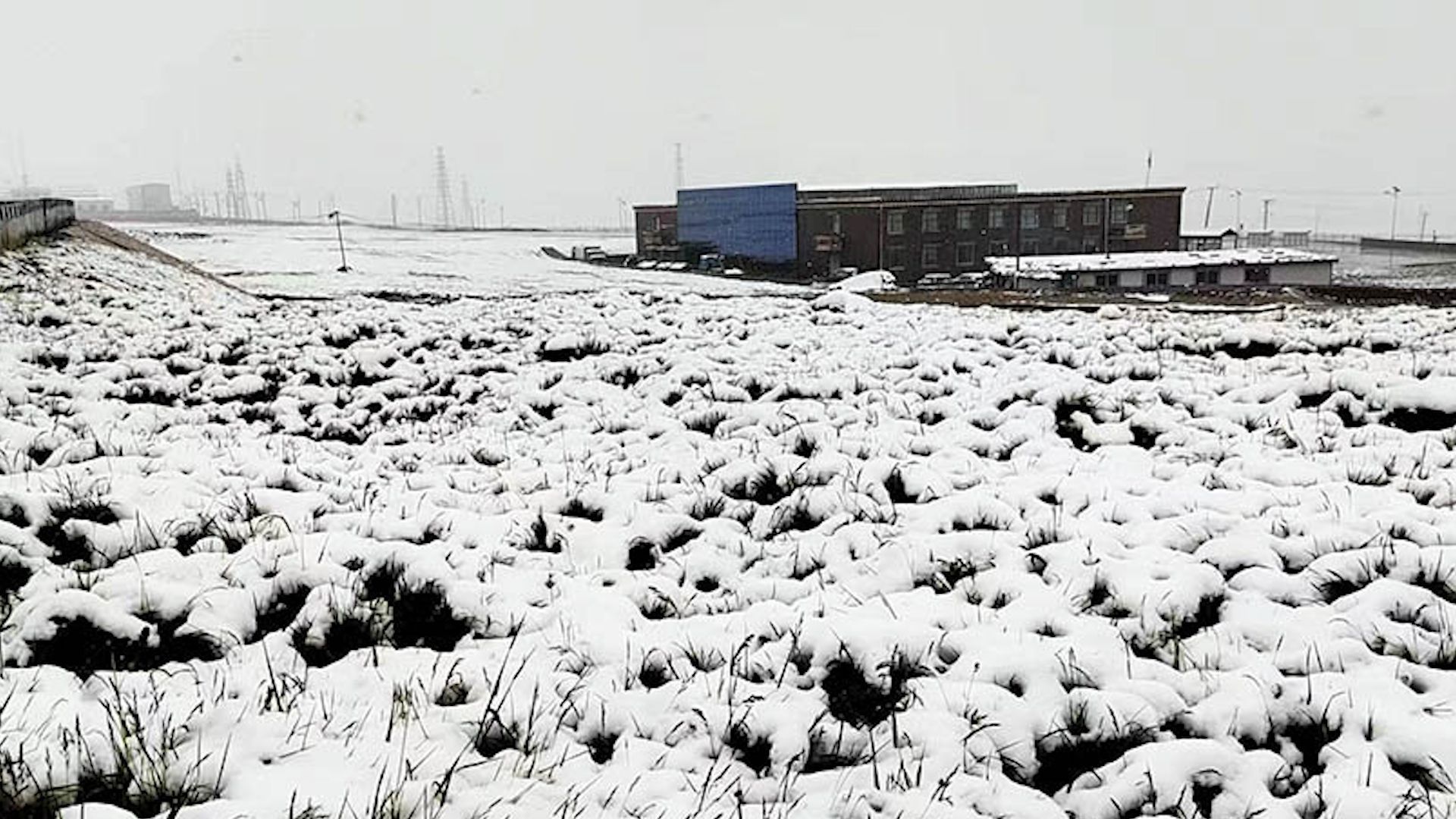 罕见!青海天峻县“三伏天”出现降雪 白雪覆盖草地哔哩哔哩bilibili