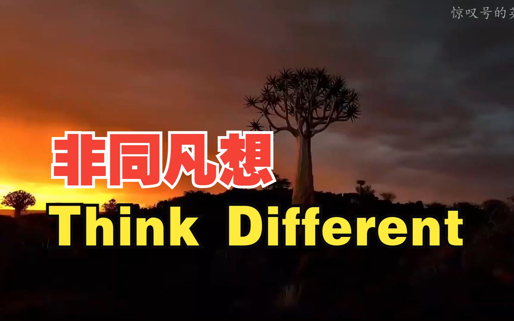 [图]【苹果经典广告】Think Different·非同凡想丨中英字幕