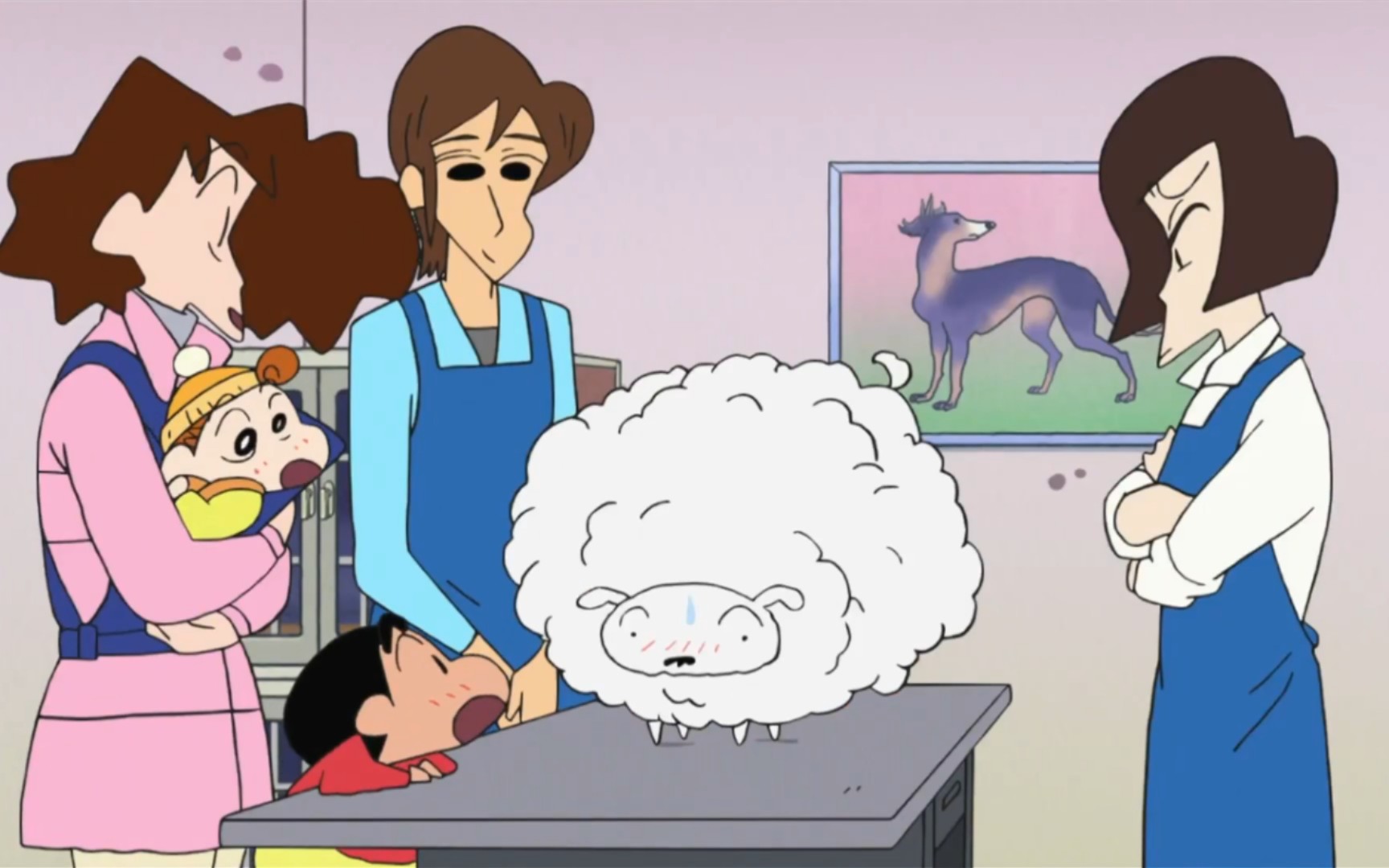 小白被犬发美容师变成棉花糖狗狗了噢_哔哩哔哩_bilibili