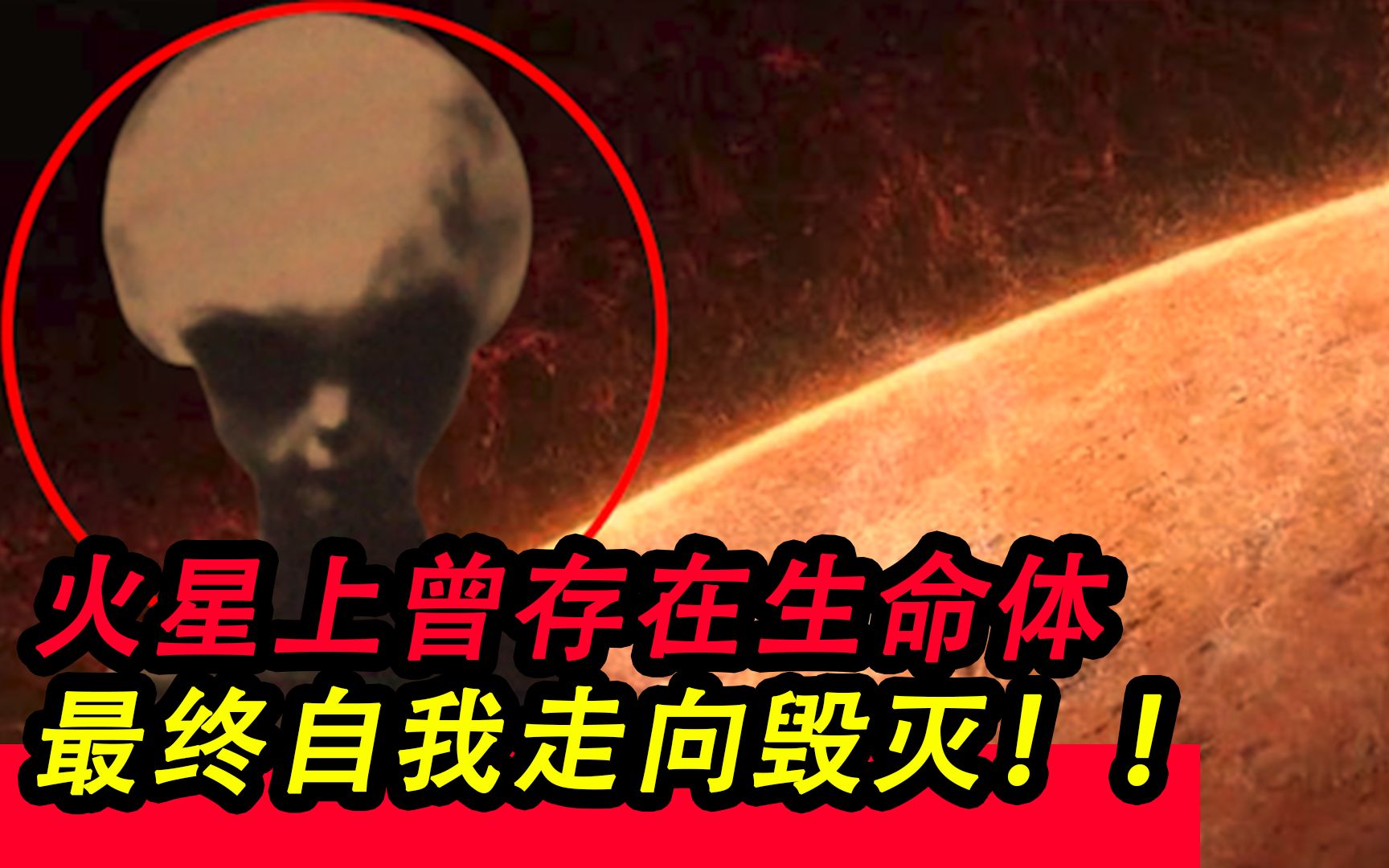 【神秘事实】导致环境变化后最终自我灭亡的火星生命体!! | 法国研究组:火星上真有生命体!!哔哩哔哩bilibili