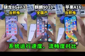 Descargar video: 全国产化麒麟9010，大战台积电骁龙8Gen3和苹果A16，差距出乎意料