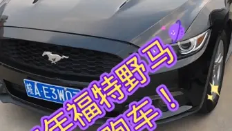 我的野马跑车