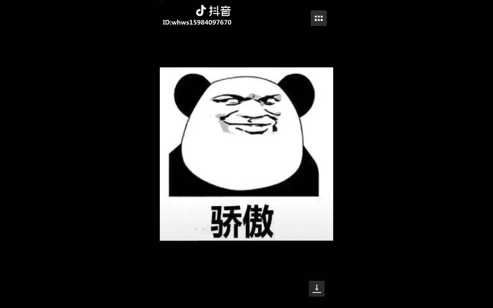 骄傲骄傲骄傲骄傲,傲娇?哔哩哔哩bilibili