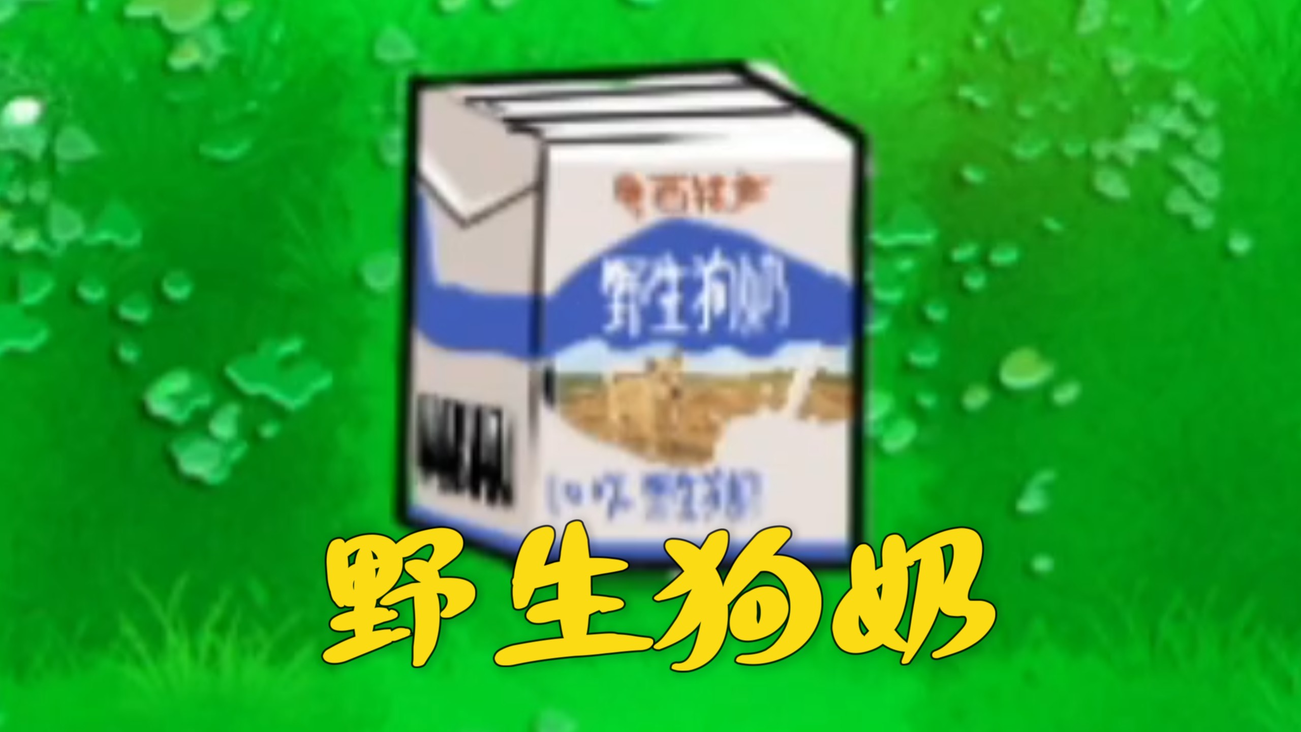 猎奇版新植物：野生狗奶