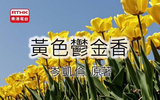 【粤语广播剧】《黄色郁金香》岑凯伦 原著 香港电台广播剧 多人粤语有声小说|有声书 (全20集) |车森梅、熊良锡、傅菁苇、劳韵妍、丁茵、黄志辉、刘安...