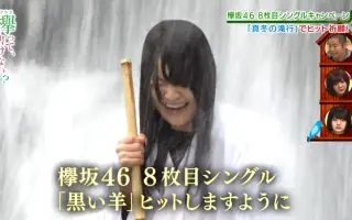 っ bilibili ない て 欅 書け