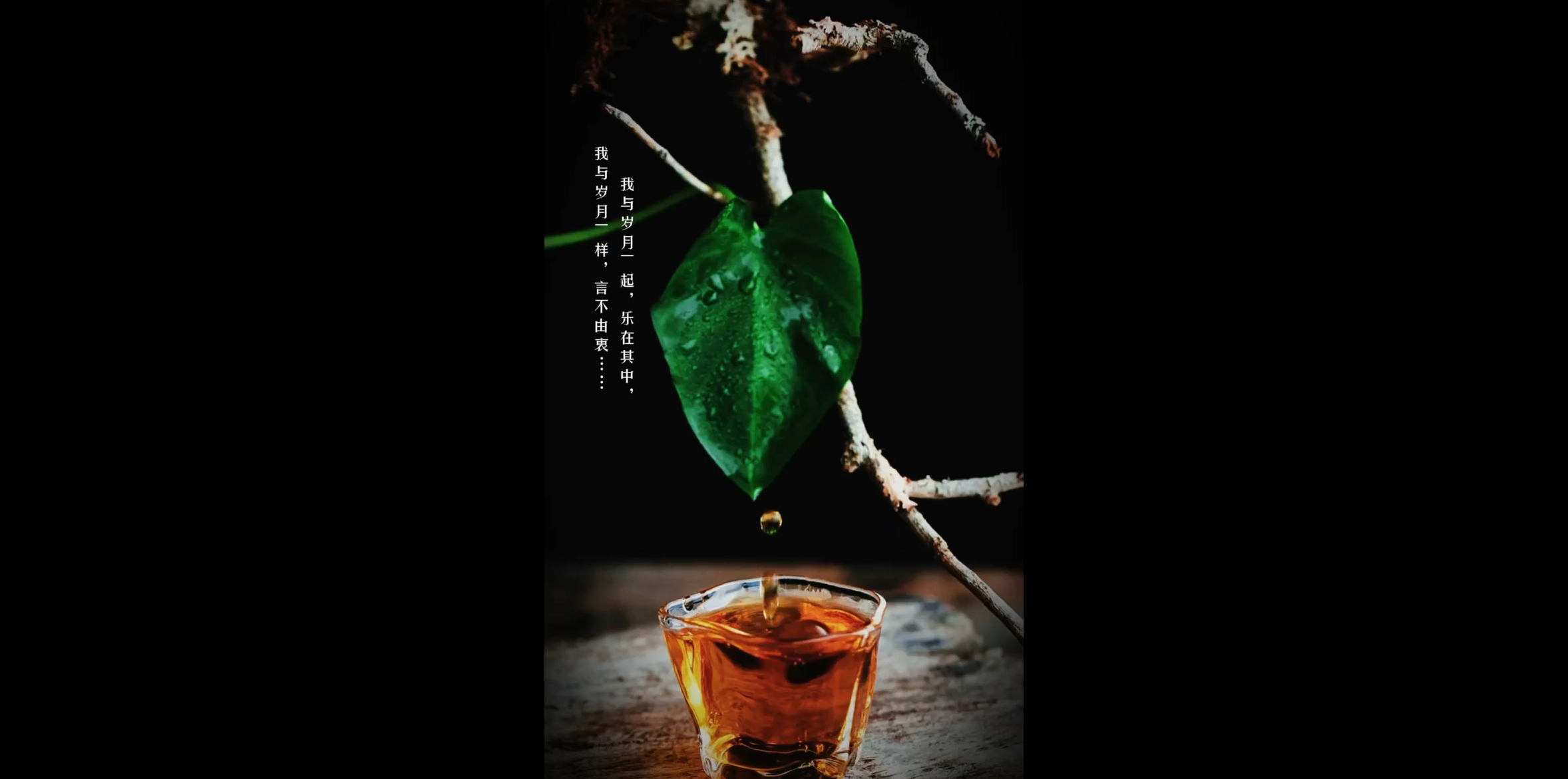 酒茶香我与岁月一起乐在其中我与岁月一样言不由衷