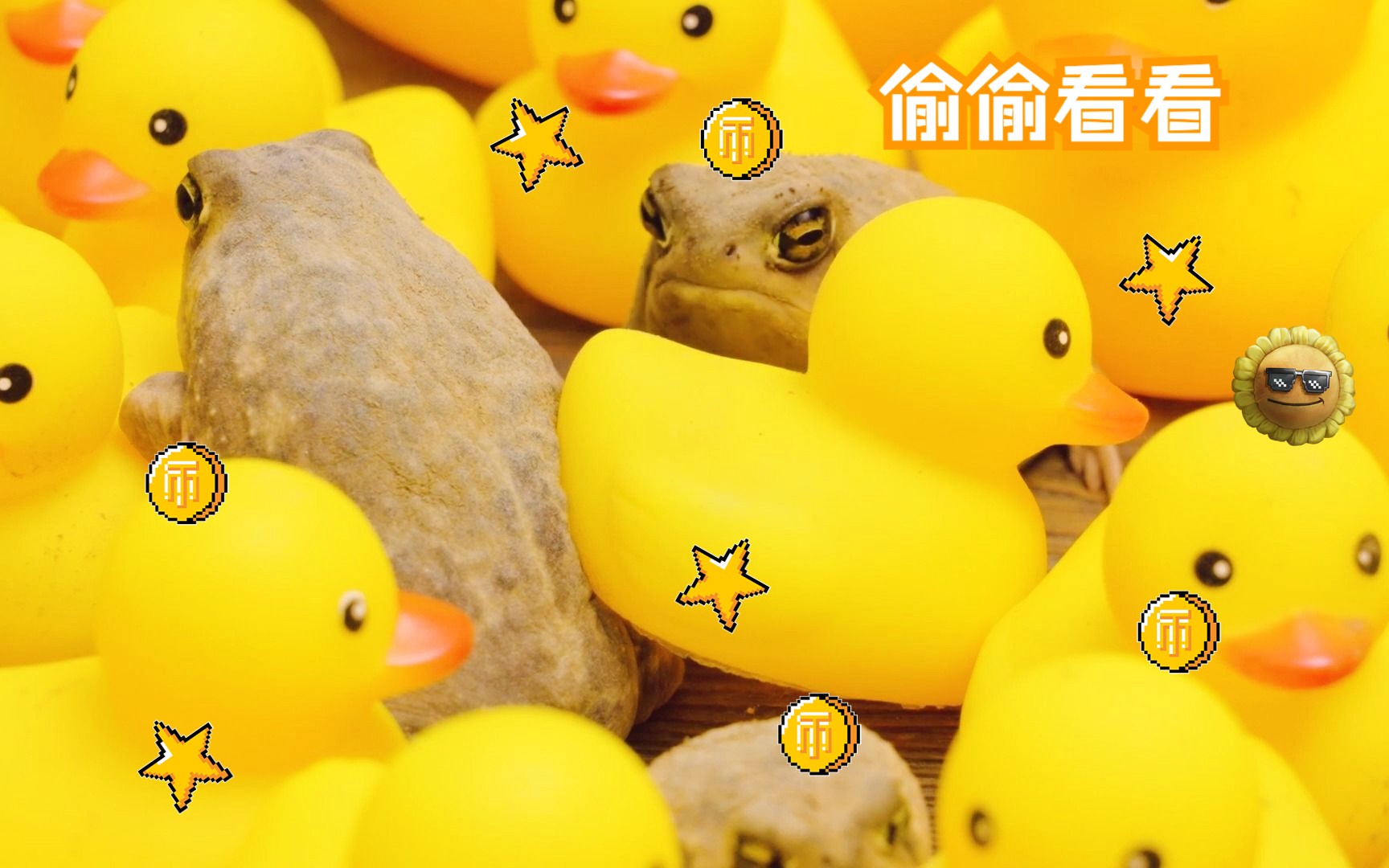 【馒头蛙】要素解锁~小黄鸭包围了蛙