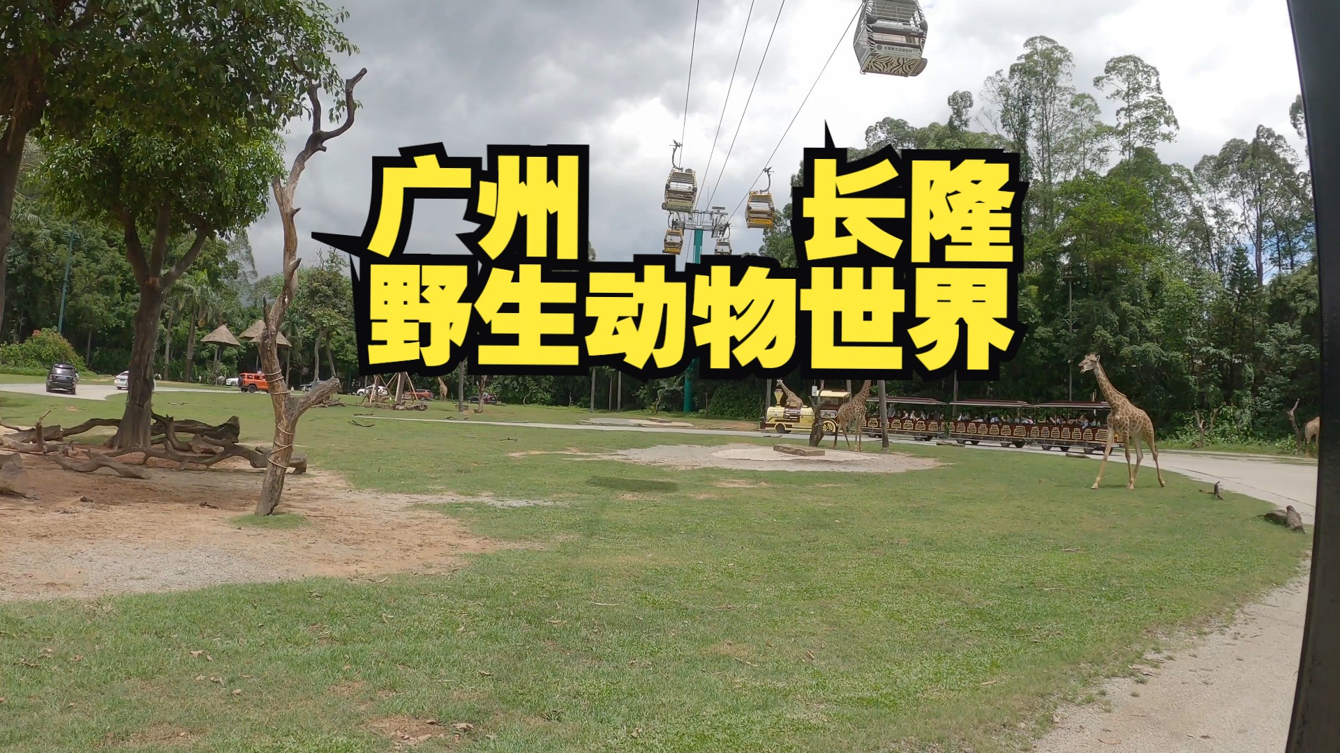 广州长隆野生动物园游记