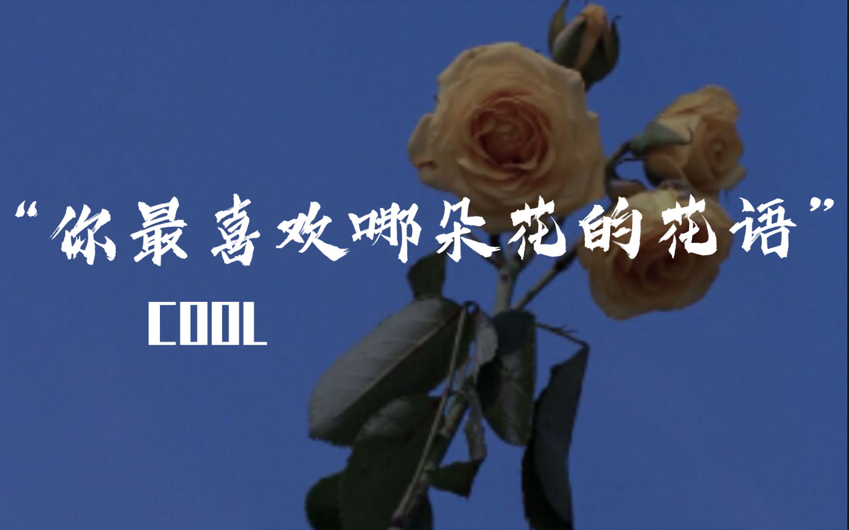 [图]【花语】“你最喜欢哪朵花的花语”