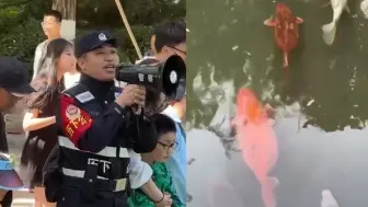 Descargar video: 趵突泉民警喇叭喊话劝阻游客投喂锦鲤：这鱼胖得跟猪一样了