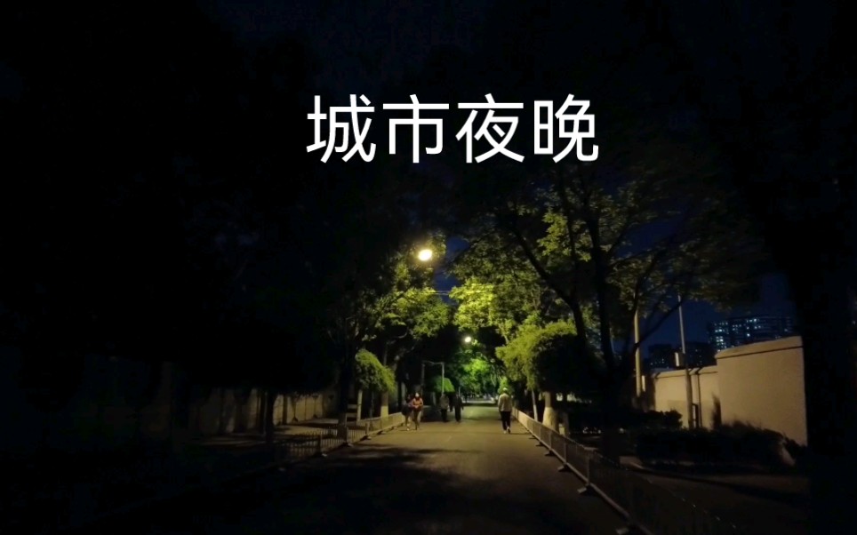 [图]城市的夜晚五月的风