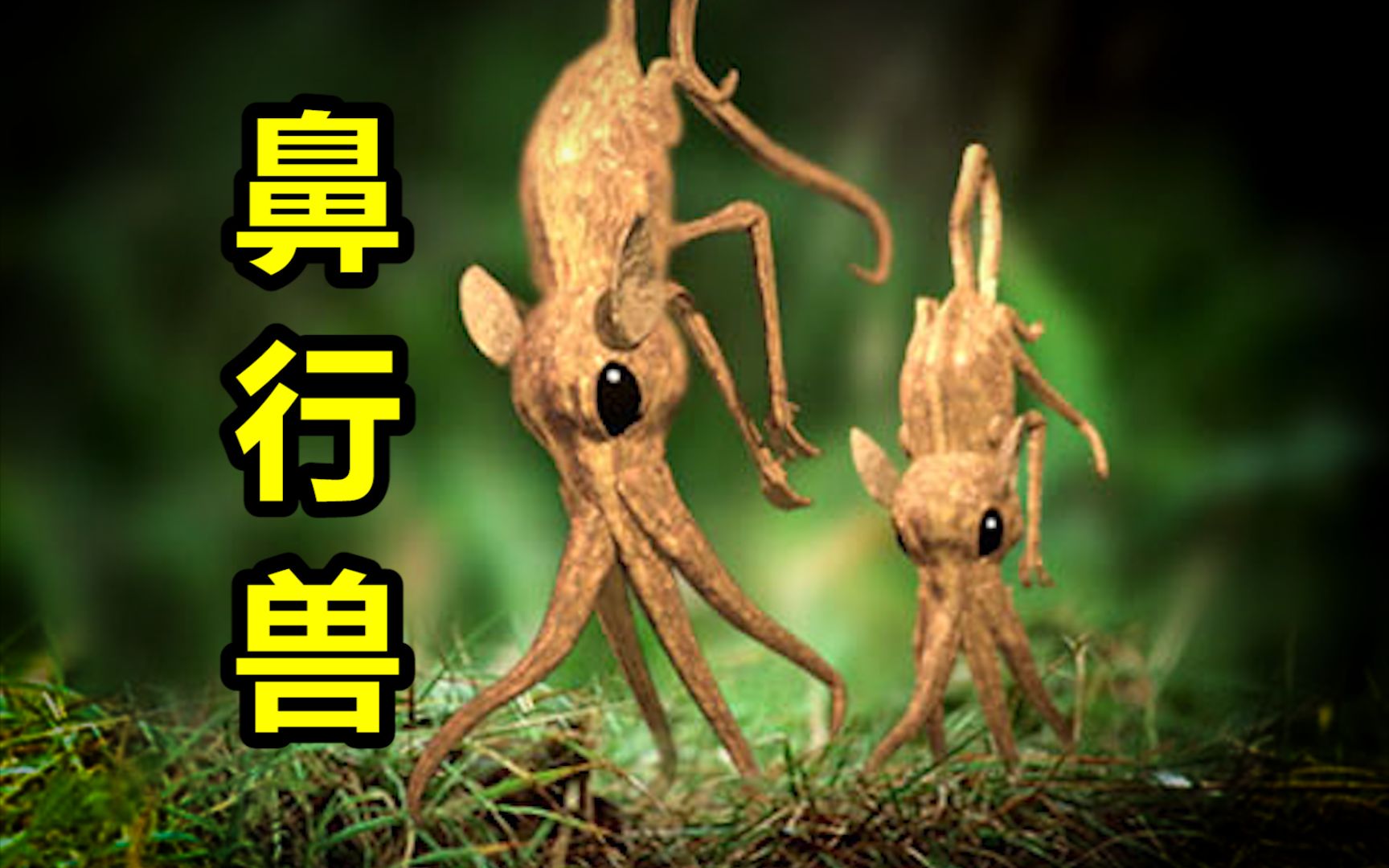 被美国的核弹灭绝!隐居太古群岛的神秘动物-阿獠娜-阿獠娜-哔哩哔哩视频